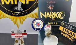 Muğla'da uyuşturucu ticareti yaptıkları iddiasıyla yakalanan 2 şüpheli tutuklandı