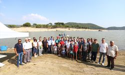 Muğla'da 370 bin sazan yavrusu sulara bırakıldı