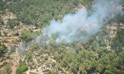 Muğla’nın Yatağan ilçesinde çıkan orman yangınına müdahale ediliyor