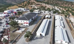Manisa’da sokak hayvanları için Hayvan Yaşam Merkezi hizmete açıldı