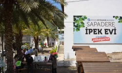 Antalya Büyükşehir’den üreticiye ipek böceği beslenme tablası