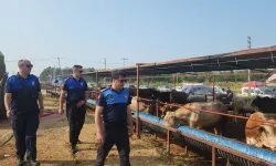 İzmir Çiğli'de kurban pazarına sıkı denetim
