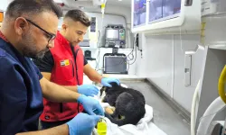 Konya İtfaiyesi’nden yürekleri ısıtan kurtarma operasyonu