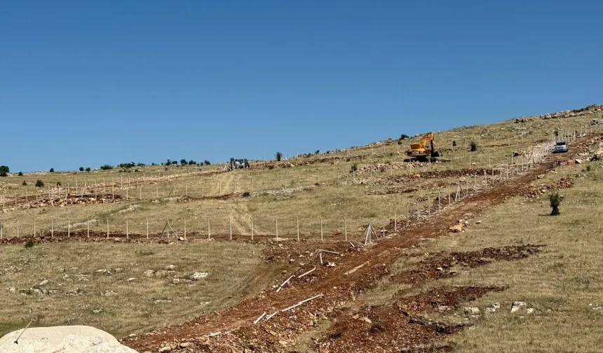 Mardin Artuklu Belediyesi’nden hayvan dostu projeler